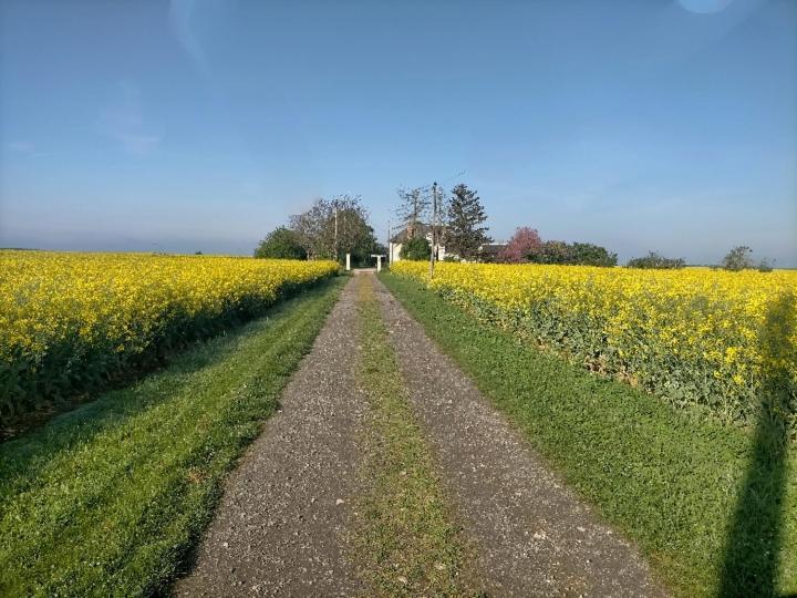 Studio " Tournesol " Au Coeur Du Berry Les Bordes Buitenkant foto